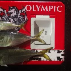 アジング 練習 129