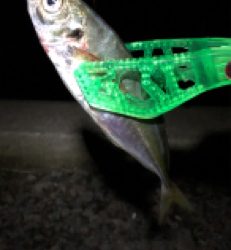 久しぶりの持ち帰り