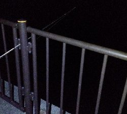 投げ釣りでアナゴ