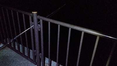 投げ釣りでアナゴ