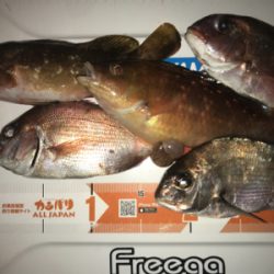 カサゴ釣り＆ヒトツテンヤ