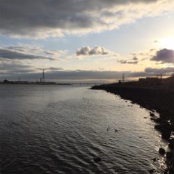 淀川ブリームゲーム