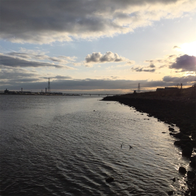 淀川ブリームゲーム