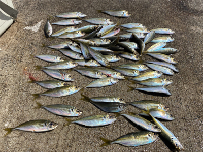 爆風の中の釣り