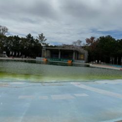 服部緑地　貸し切り状態