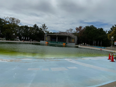 服部緑地　貸し切り状態