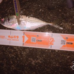 何だかんだライトゲーム楽しいです