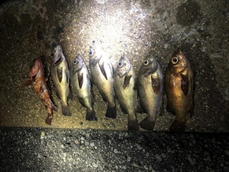 友達とメバリング