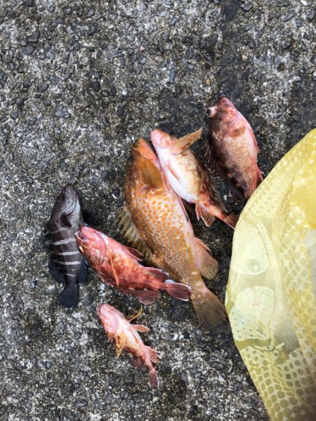 小型和船からのSLJ&タイラバ！潮…