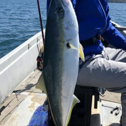 小型和船からのSLJ！鷹島南回り探索