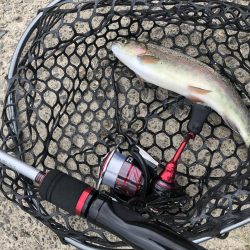 初めての管理釣り場