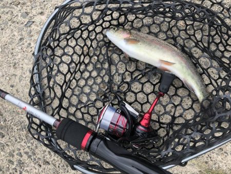 初めての管理釣り場