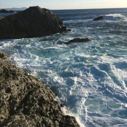 大島ミッチャの釣果