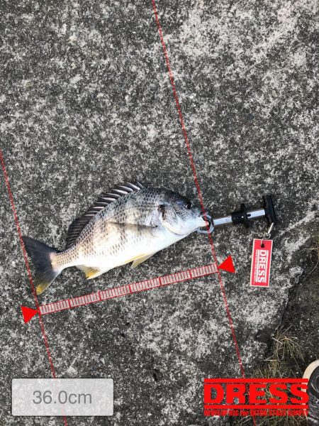 3月24日キビレゲーム