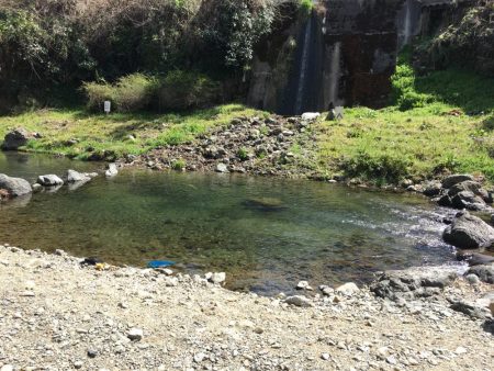 久々の水無瀬川・尺代アマゴ・マス釣り場