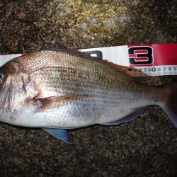 慣れない岩場での釣り