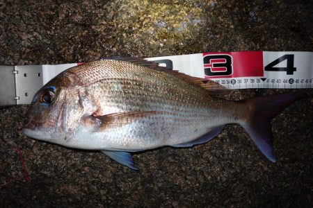 慣れない岩場での釣り