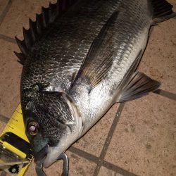 アタリ多数　～潮見運動公園～