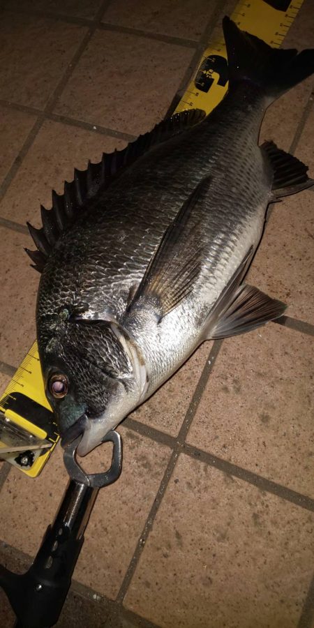 アタリ多数　～潮見運動公園～