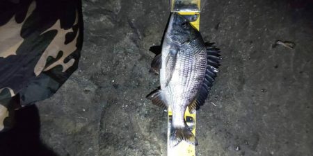 久々の夜釣り　～若洲海浜公園～