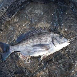 風がやむのを見込んで　～さざなみ公園～