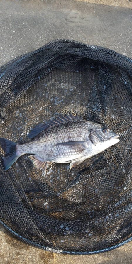 風がやむのを見込んで　～さざなみ公園～