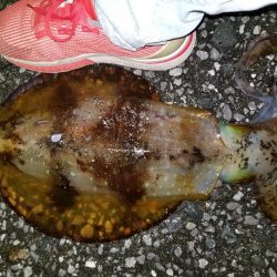 あと少しで(-_-;)