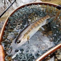 雨上がり活性高し！