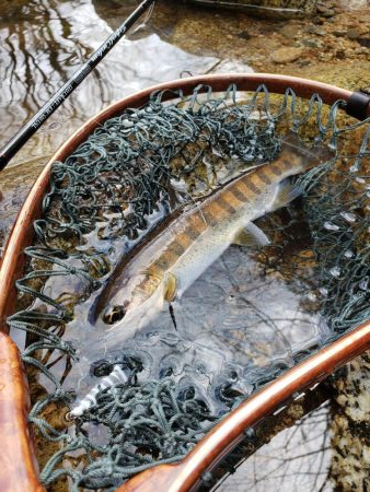 雨上がり活性高し！