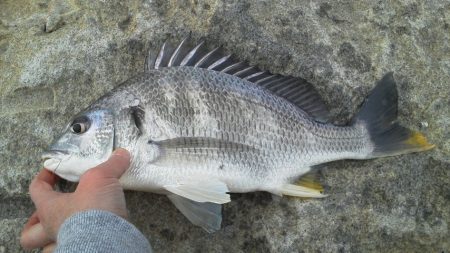 今行ってきました