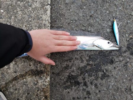 連日調子良し！