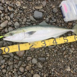 長潮でも釣れました。