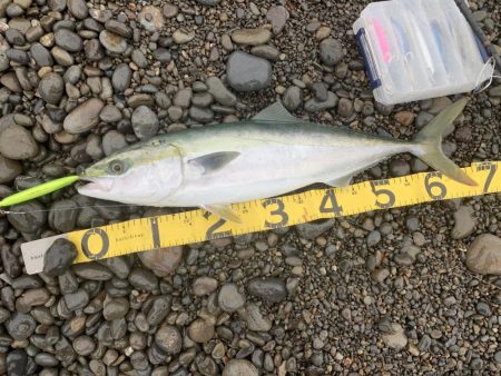 長潮でも釣れました。