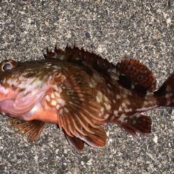 「ガツンッ」という感覚が忘れられなくて