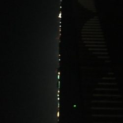 夜カサゴ、朝カサゴ、昼カレイ