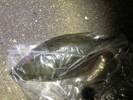 新波止から吉野川河口最高