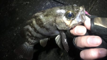 痛すぎマッキンα!!