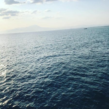 噂通りの人、人、人