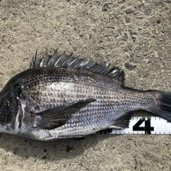 イチノ兄弟、釣果！