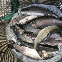 北田原マス釣り場にて