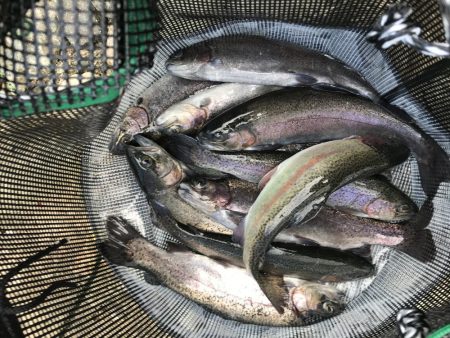 北田原マス釣り場にて