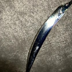 太刀魚釣れました！