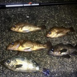 ホンマついてない…