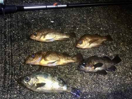 ホンマついてない…