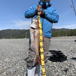 ショアジギング で巨大な真鯛78センチ5.0キロ