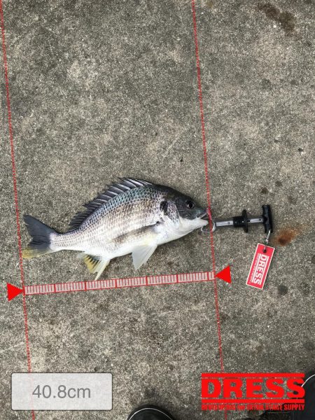 3月28日キビレゲーム