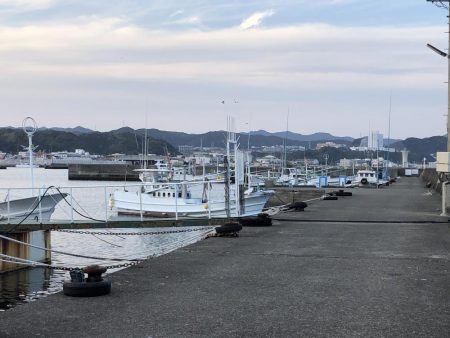 アジが釣れました