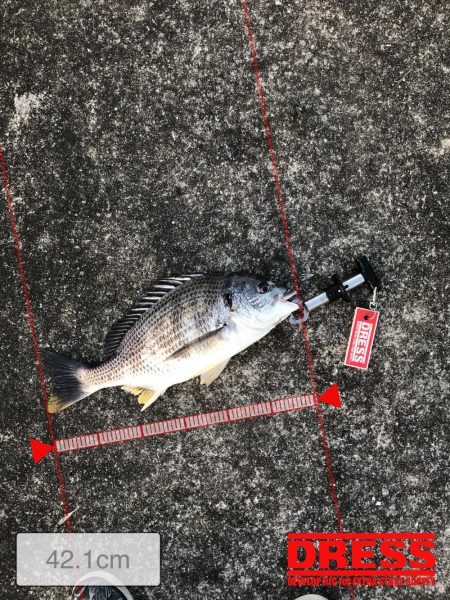 3月13日キビレゲーム