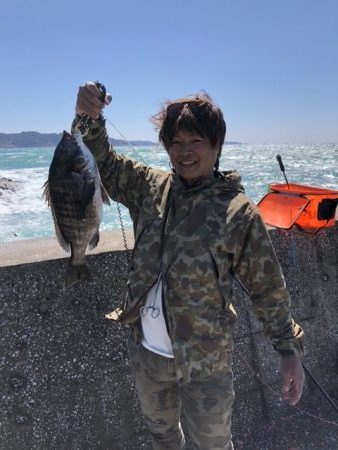 黒鯛　爆釣　海は大荒れ