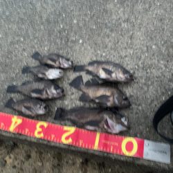 ナイトメバリング〜(๑˃̵ᴗ˂̵)